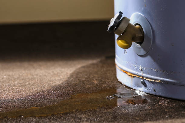 Best 24/7 water damage repair  in Rensselaer, NY