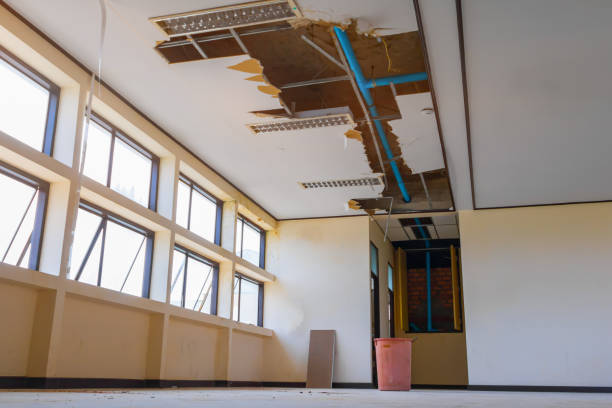 Best Water damage restoration company  in Rensselaer, NY