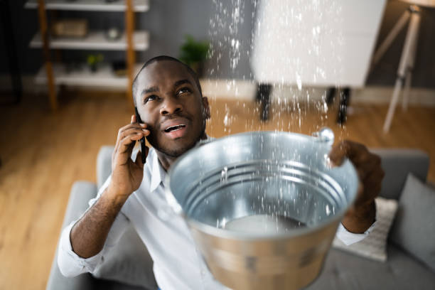 Best Local water damage restoration  in Rensselaer, NY