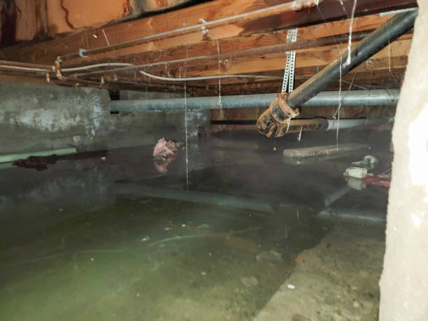 Best Ceiling water damage repair  in Rensselaer, NY