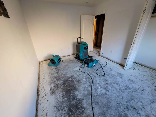 Best Water damage restoration process  in Rensselaer, NY
