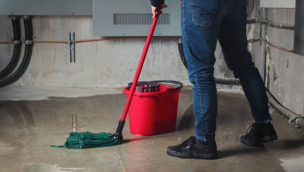 Best Professional water damage repair  in Rensselaer, NY
