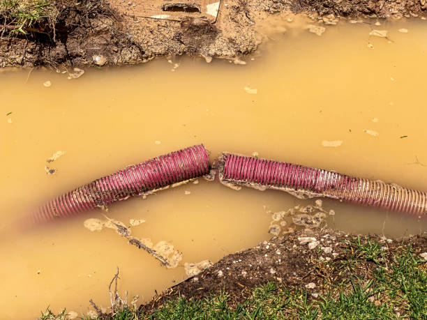 Best 24-hour water damage restoration  in Rensselaer, NY