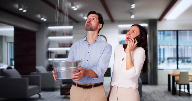 Best Mold removal after water damage  in Rensselaer, NY