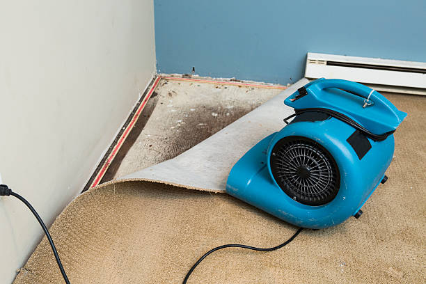 Best Ceiling water damage repair  in Rensselaer, NY